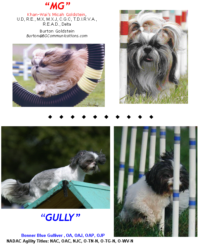 agility 2